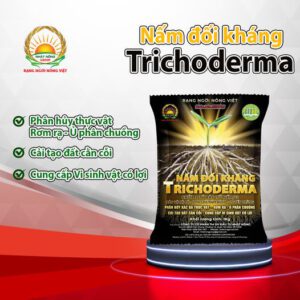 TRICHODERMA