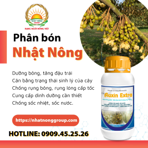 AUXIN EXTRA - Amino Rong biển