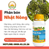 Chống rụng bông và trái non FOLYCAL Canxi USA