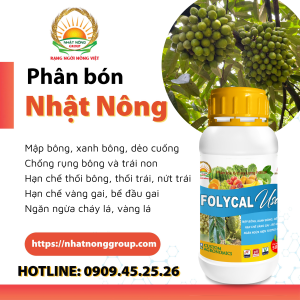 Chống rụng bông và trái non FOLYCAL Canxi USA