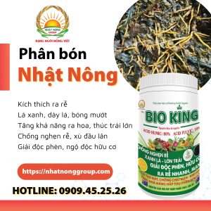 Phân bón kích rễ Bio King