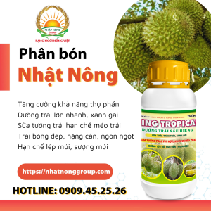 KING TROPICAL nuôi dưỡng trái non lớn nhanh, tròn đều