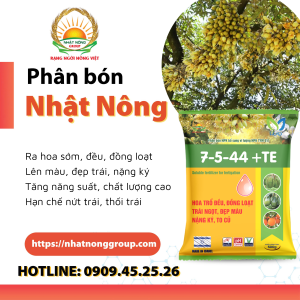 Phân bón NPK 7-5-44 + TE