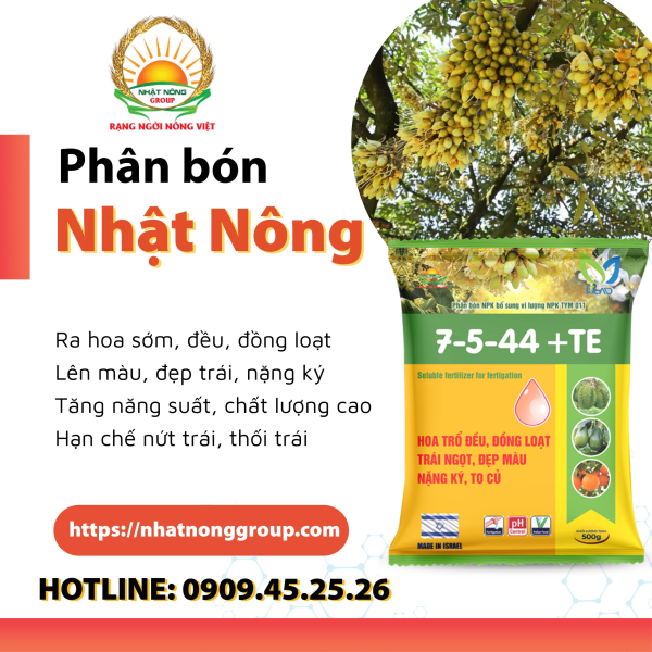 Phân bón NPK 7-5-44 + TE