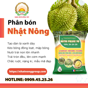 Phân bón Nutri Fulvic 90 NPK 20-20-20