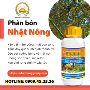 Siêu Vitamin