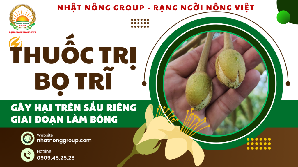 Thuốc trị bọ trĩ hại sầu riêng