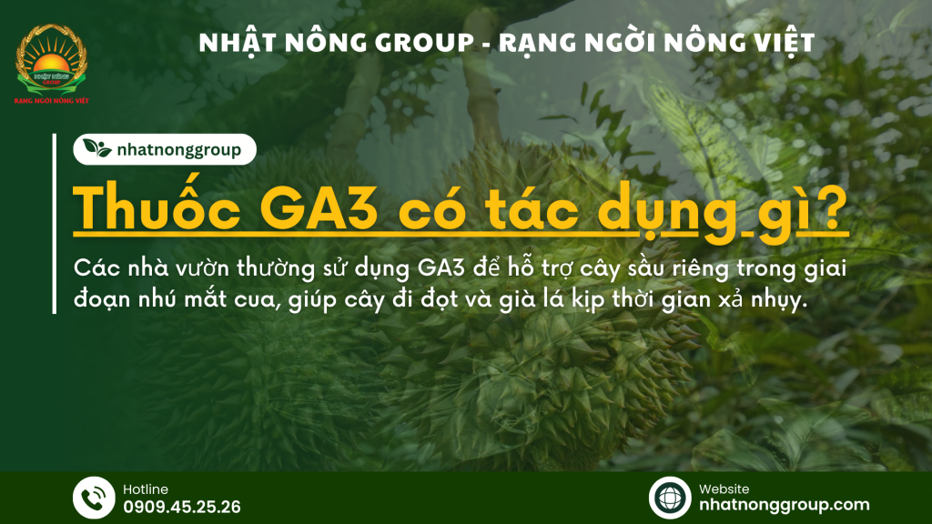 Thuốc GA3 có tác dụng gì?