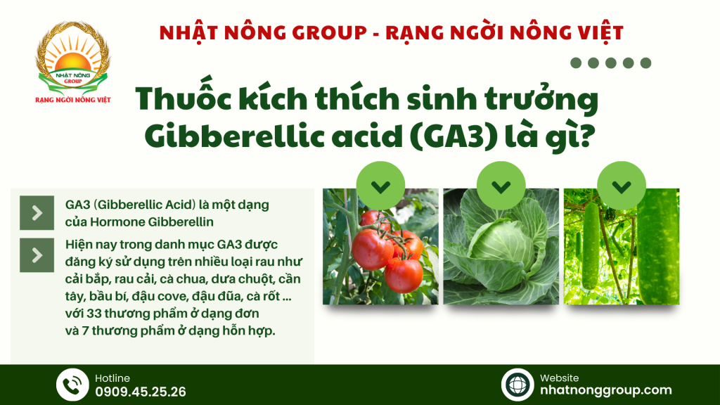 Thuốc kích thích sinh trưởng Gibberellic acid (GA3) là gì?