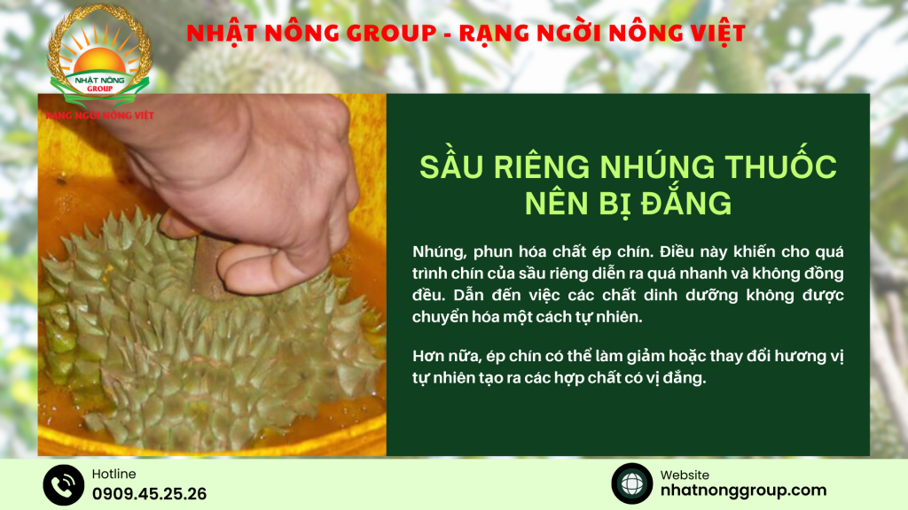 Sầu riêng nhúng thuốc nên bị đắng 