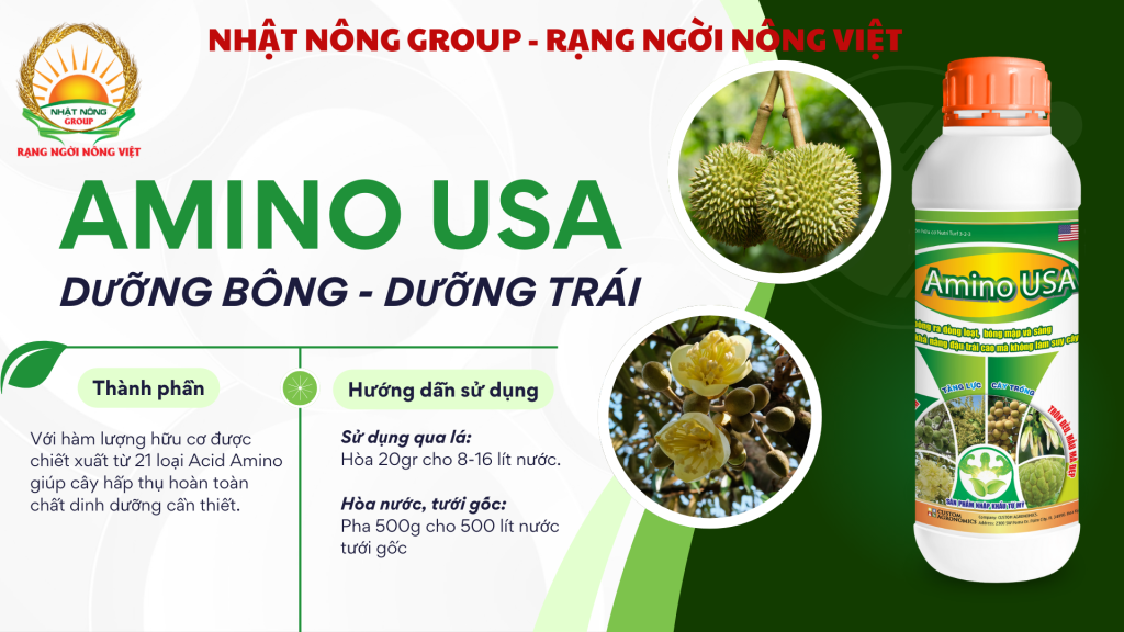 Sản phẩm phân bón Amino USA dưỡng bông, dưỡng trái sầu riêng