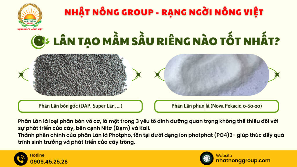 Lân tạo mầm sầu riêng nào tốt nhất?