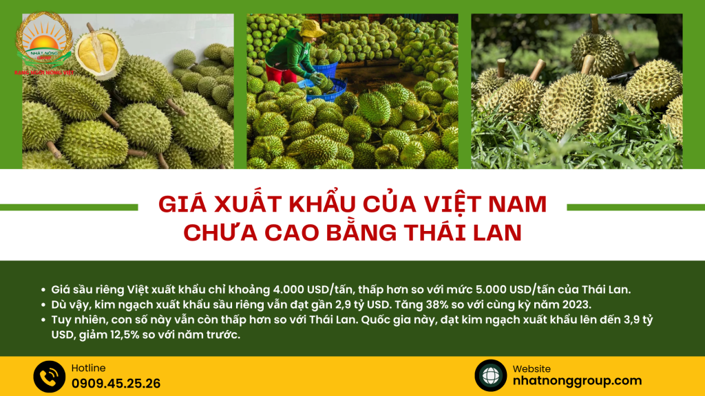 Giá xuất khẩu sầu riêng của Việt Nam chưa cao bằng Thái Lan