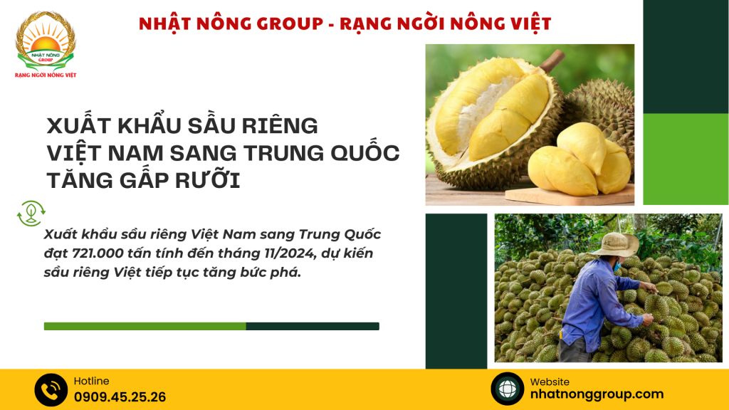 Xuất khẩu sầu riêng Việt Nam sang Trung Quốc tăng gấp rưỡi