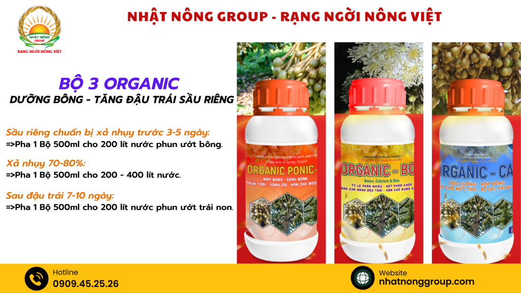 Dưỡng bông sầu riêng