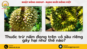 Thuốc trừ nấm đọng trên vỏ sầu riêng gây hại như thế nào?