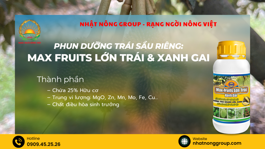 Phun dưỡng trái sầu riêng Max Fruits Lớn trái & Xanh gai