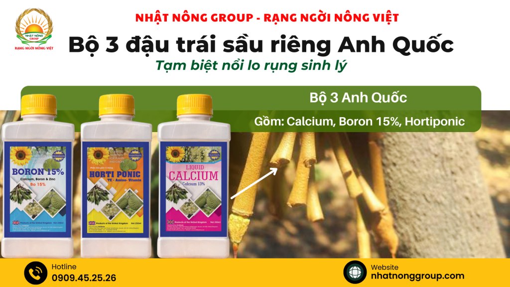 Bộ 3 đậu trái sầu riêng Anh Quốc: Tạm biệt nổi lo rụng sinh lý