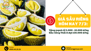 Giá sầu riêng hôm nay 7/3: Tăng mạnh từ 5.000 - 10.000 đ/kg