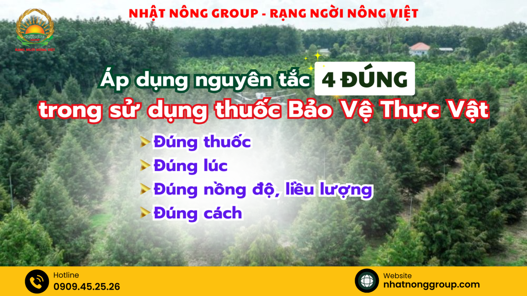 Nguyên tắc 4 đúng trong sử dụng thuốc bvtv