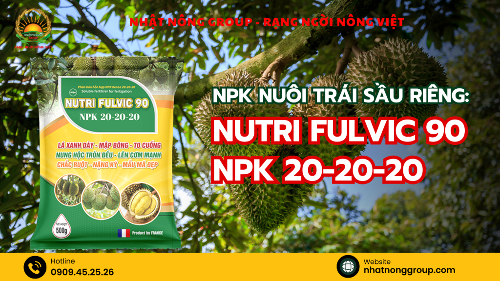NPK nuôi trái sầu riêng: Nutri Fulvic 90 NPK 20-20-20