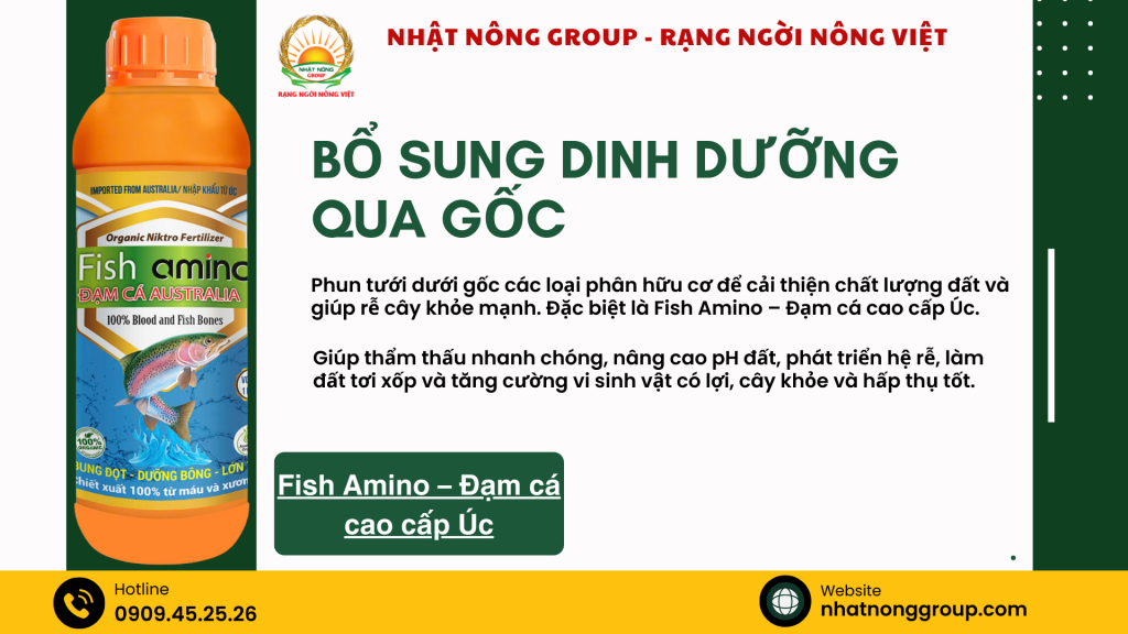 Bổ sung dinh dưỡng dưới gốc bằng Fish Amino – Đạm cá cao cấp Úc