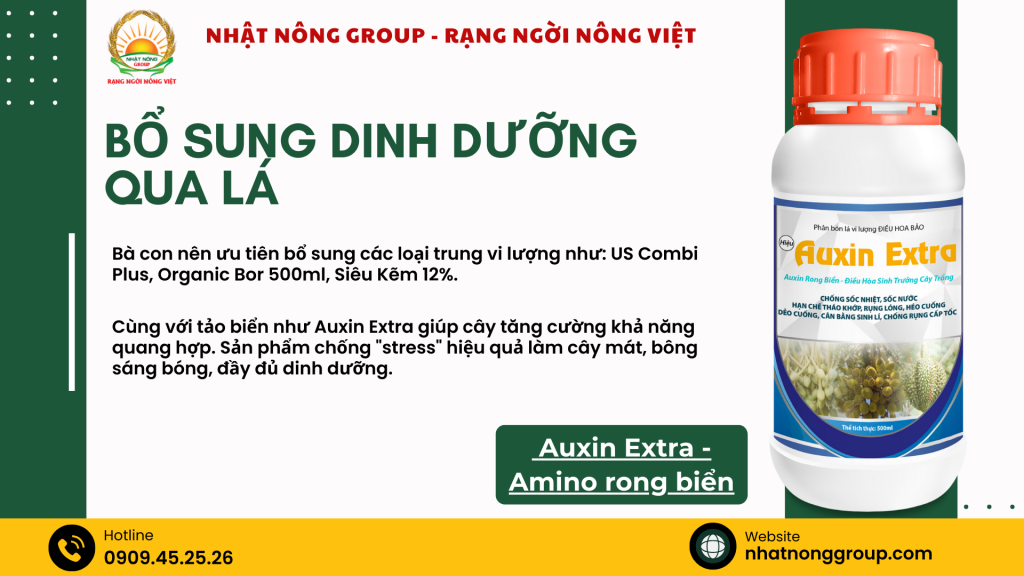 Bổ sung dinh dưỡng qua lá bằng Auxin Extra - Amino rong biển
