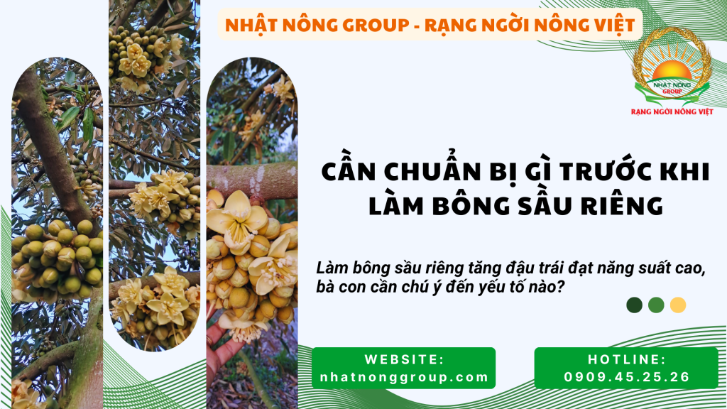 Kỹ thuật làm bông sầu riêng, bà con cần chuẩn bị gì?