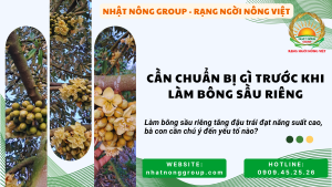 Kỹ thuật làm bông sầu riêng, bà con cần chuẩn bị gì?