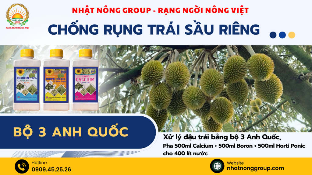Chống rụng trái non sầu riêng với Bộ 3 Anh Quốc