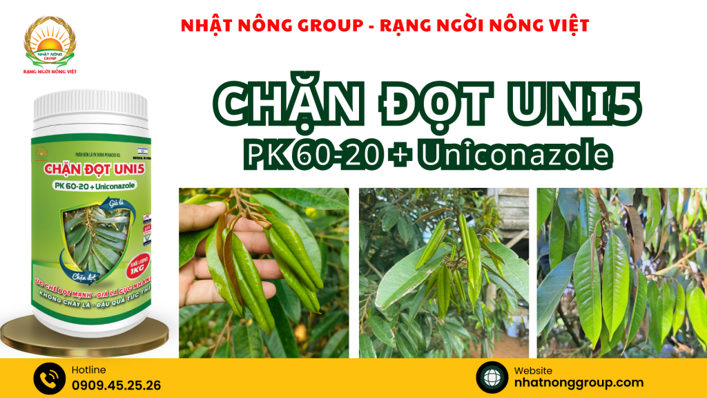 Chặn đọt UNI5 PK 60-20 + Uniconazole