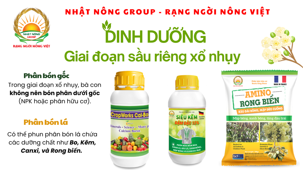 Dinh dưỡng trong giai đoạn sầu riêng xổ nhụy