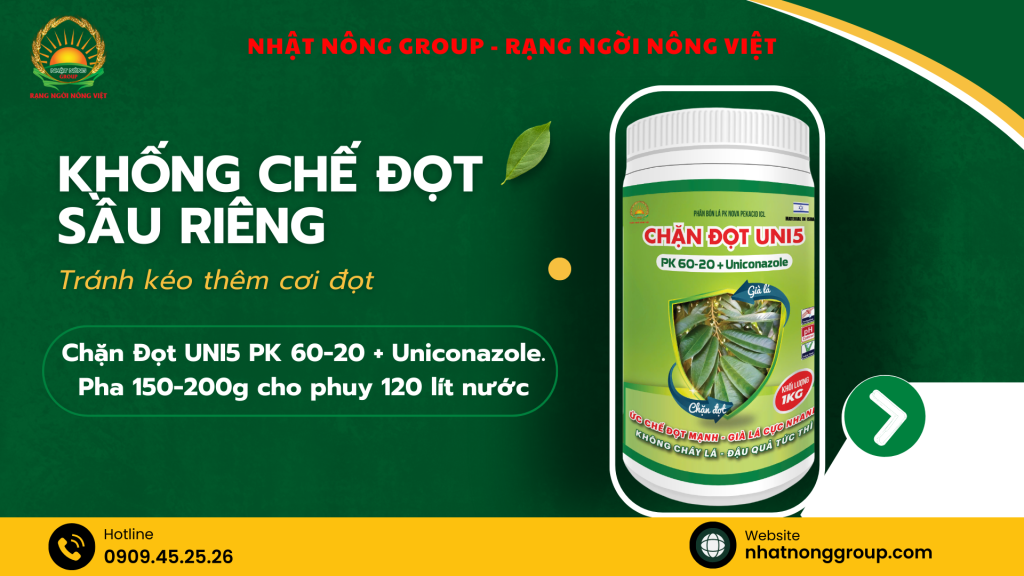 Chặn đọt sầu riêng 