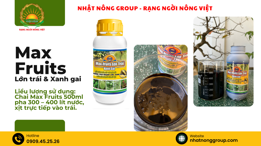 Phun dưỡng trái sầu riêng Max Fruits
