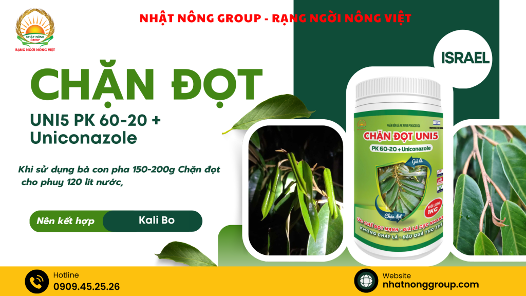 Chặn đọt sầu riêng