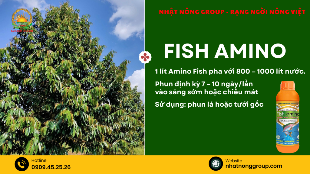 Hướng dẫn sử dụng Fish Amino xanh lá, dày lá sầu riêng