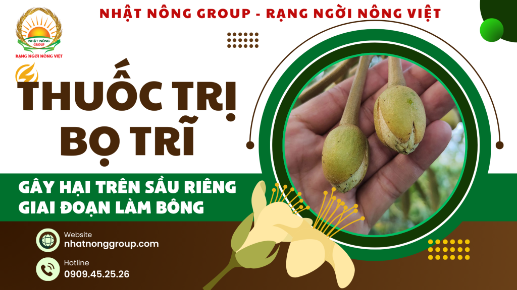 Thuốc trị bọ trĩ