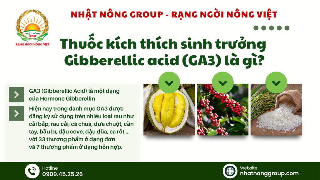 Thuốc kích thích sinh trưởng Gibberellic acid (GA3) là gì?