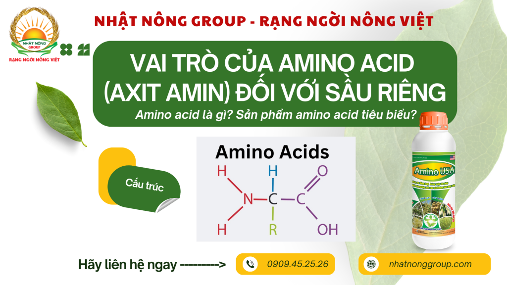 Amino USA dưỡng bông, dưỡng trái sầu riêng