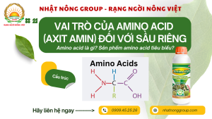 Amino USA dưỡng bông, dưỡng trái sầu riêng