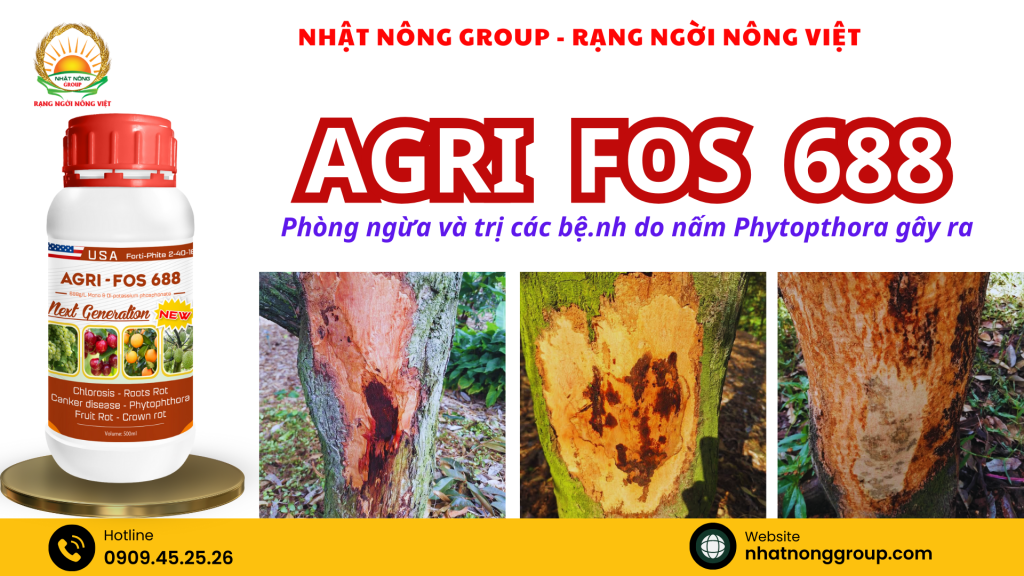 AGRI FOS 688 Thế hệ mới chuyên trị nứt thân xì mủ trên cây sầu riêng