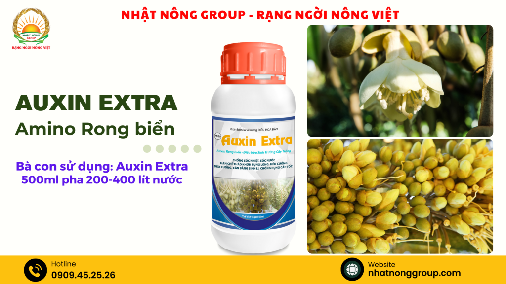 Auxin Extra - Amino rong biển
