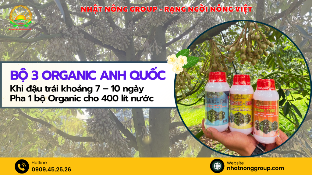 Bộ 3 đậu trái Organic: Organic Cal - Organic Bor - Organic Ponic