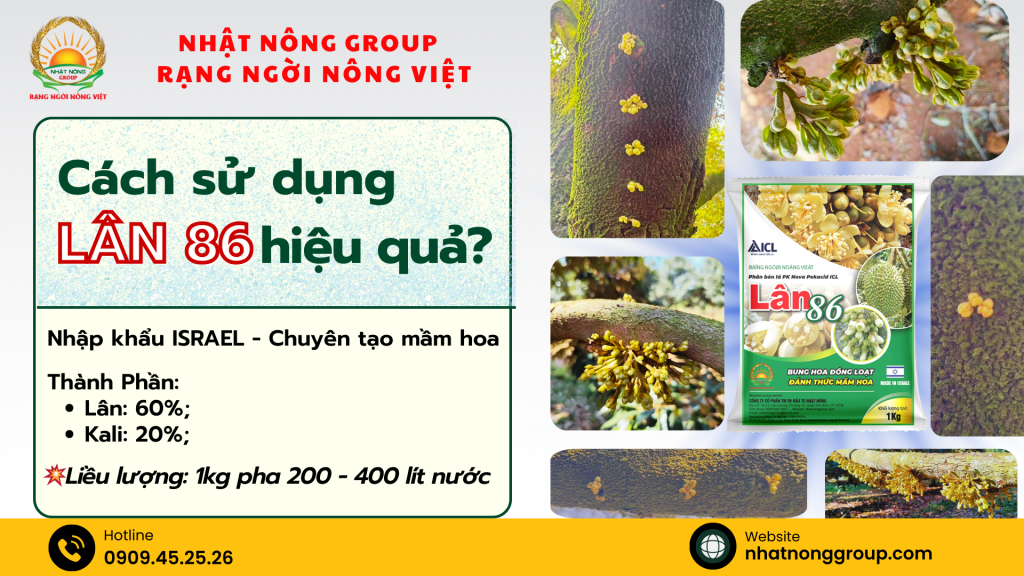 Cách sử dụng Lân 86 hiệu quả?