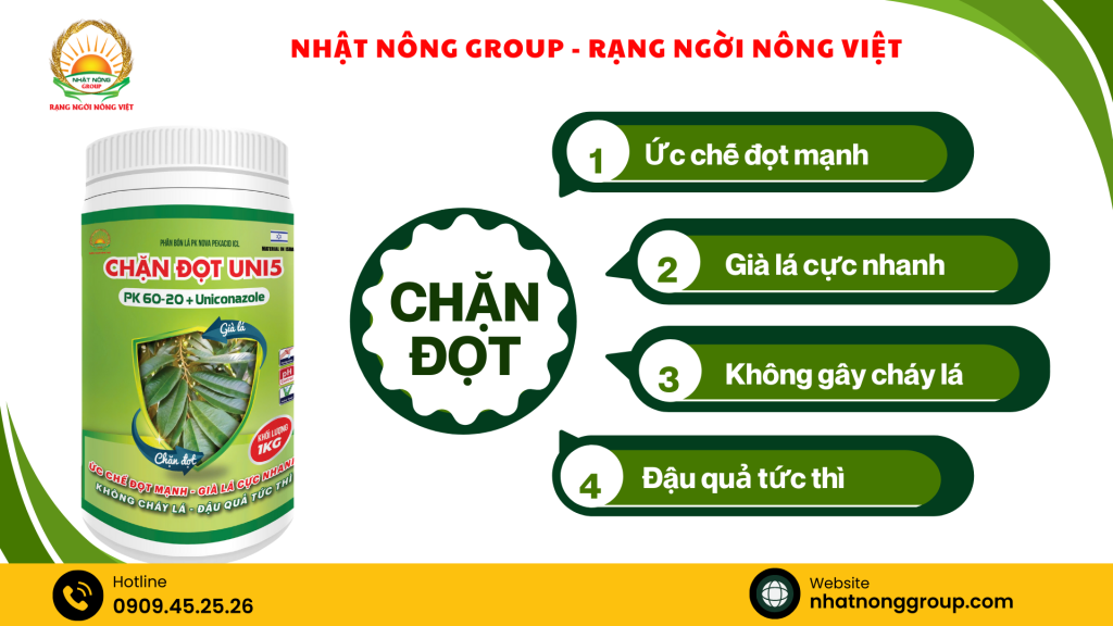 Chặn đọt sầu riêng Uni5 PK 60-20 + Uniconazole