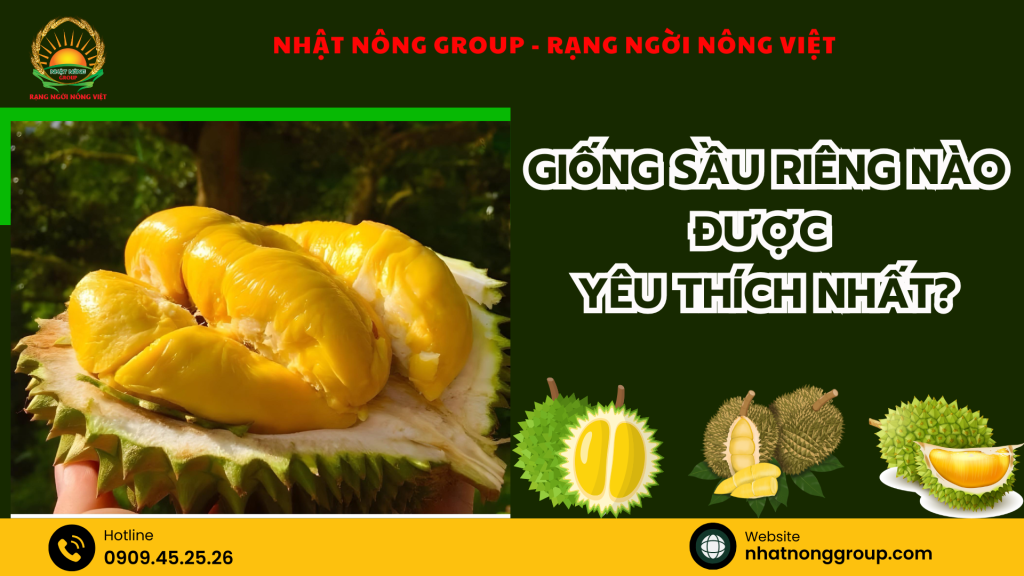 Sầu riêng nào được yêu thích nhất?