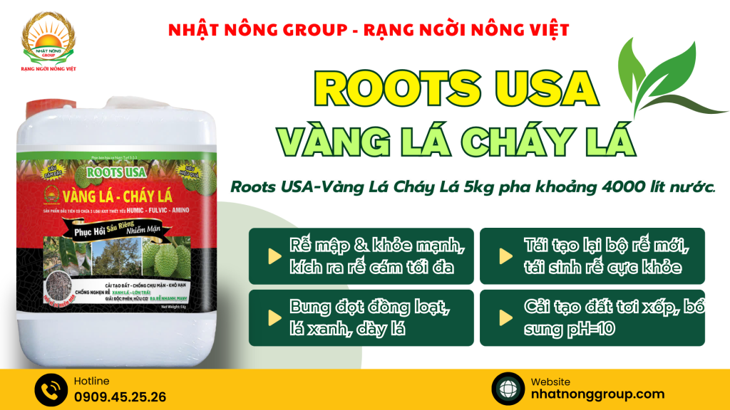 Kích rễ Roots USA – Vàng Lá Cháy Lá