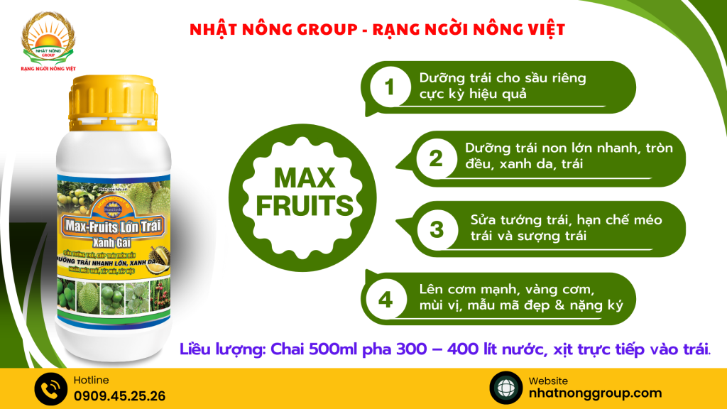 Max Fruits dưỡng trái sầu riêng lớn nhanh