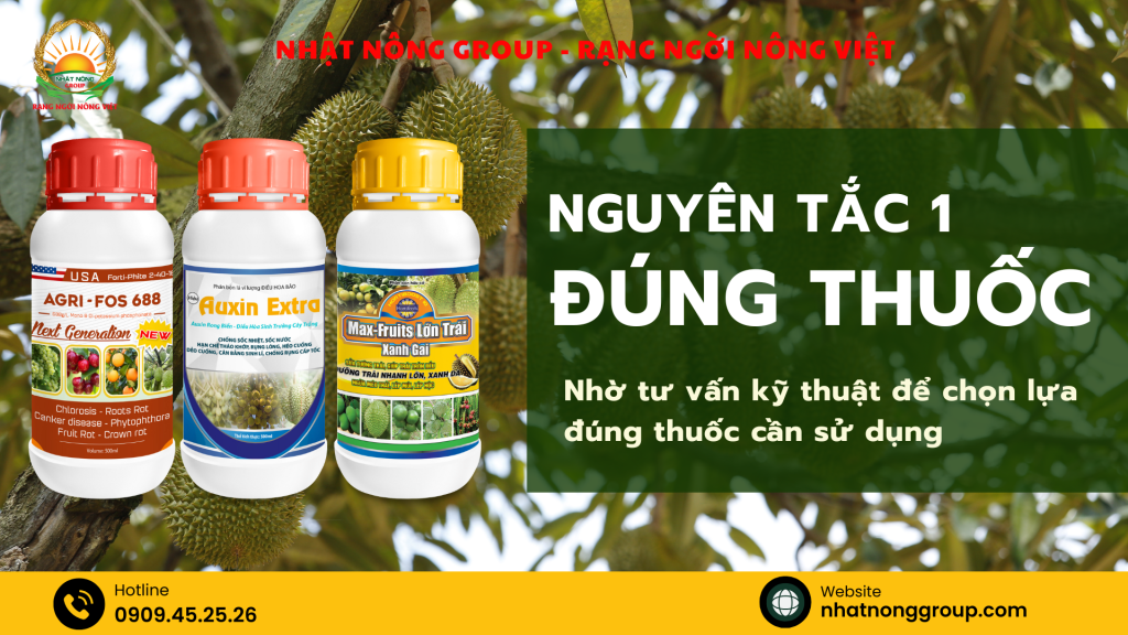 Nguyên tắc 1 "đúng thuốc"