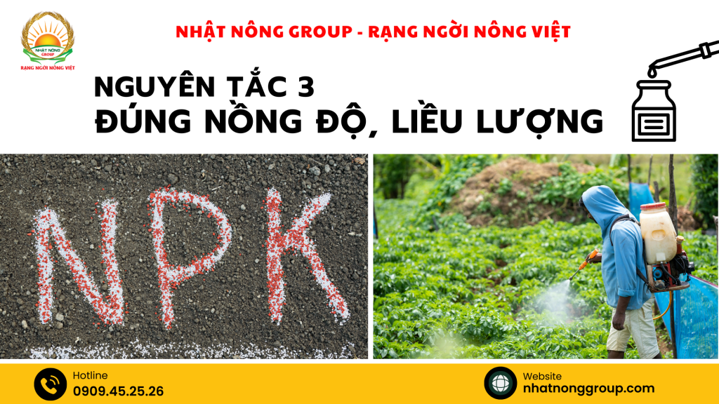 Nguyên tắc 3 "đúng nồng độ, liều lượng"